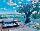 E585 (19).webp