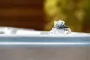 0547 (45).webp