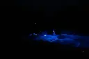 DSC00689.webp
