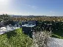 O364 (2).webp