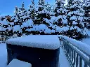 O354 (13).webp