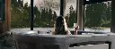 Storm_1834x791_Lifestyle-4-foret-1000x431.webp